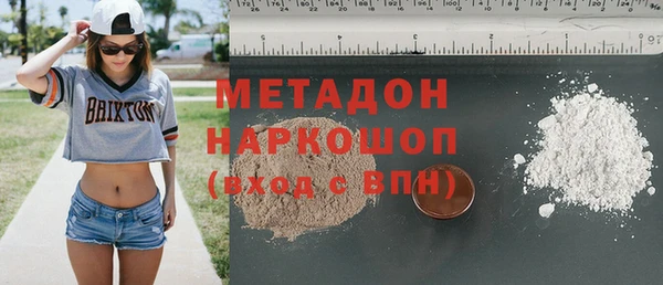 индика Новозыбков