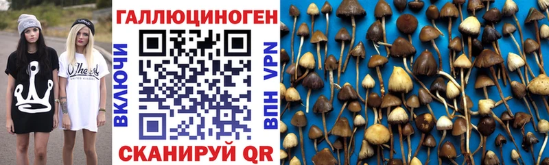 Галлюциногенные грибы Psilocybine cubensis mega вход Псков